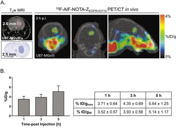 24104236816574.png 24104236816574.png