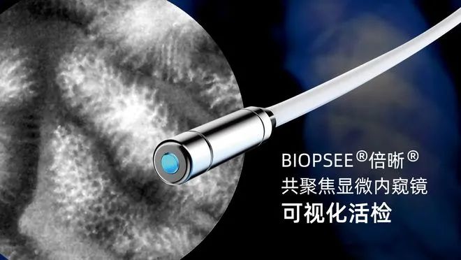 微信圖片_20230401194425.jpg 微信圖片_20230401194425.jpg