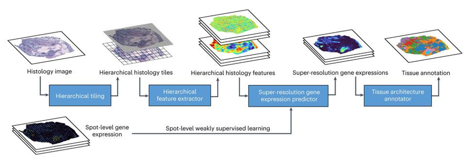 公募大咖展望明年行情 最可能賺盈利穩(wěn)定的錢(qián)