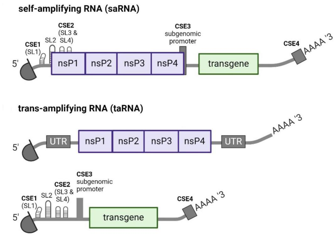 微信圖片_20250625100221.png 微信圖片_20250625100221.png