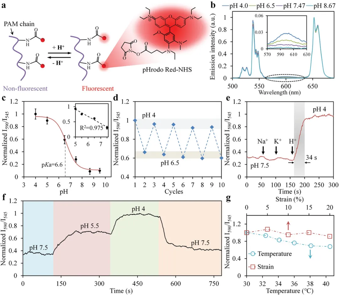 微信圖片_202508081232053.jpg 微信圖片_202508081232053.jpg