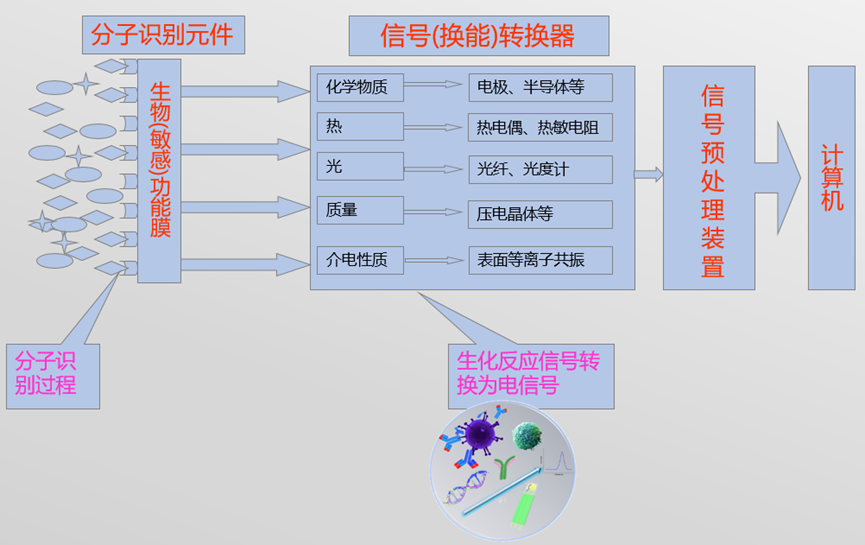 微信圖片_2025-09-15_154542_010.png 微信圖片_2025-09-15_154542_010.png
