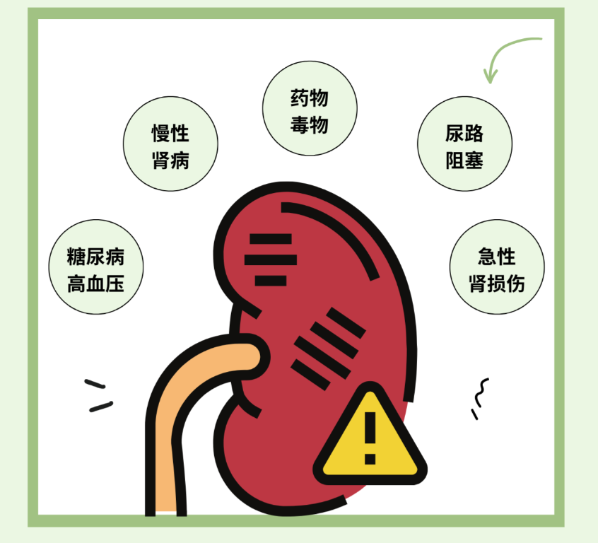 微信圖片_2026-02-05_154250_285.png 微信圖片_2026-02-05_154250_285.png