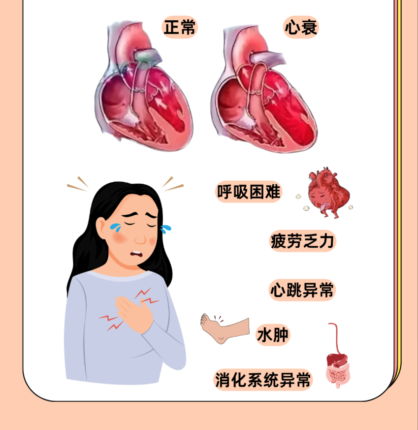 微信圖片_2026-02-05_154252_963.png 微信圖片_2026-02-05_154252_963.png